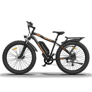 750W Electric Bike