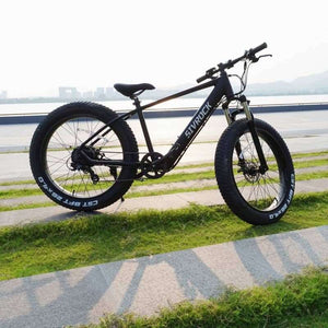 26'' Electric Bike 1000W
