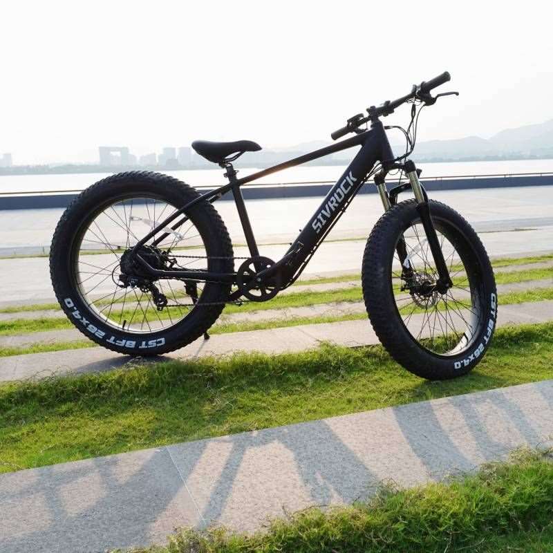 26'' Electric Bike 1000W